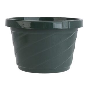 6" Euro Saucerless Hanging Basket